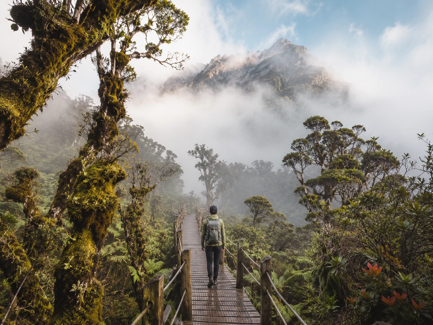 Mount Kinabalu trail with cloud forest, mist, and hikers in Sabah, Malaysia